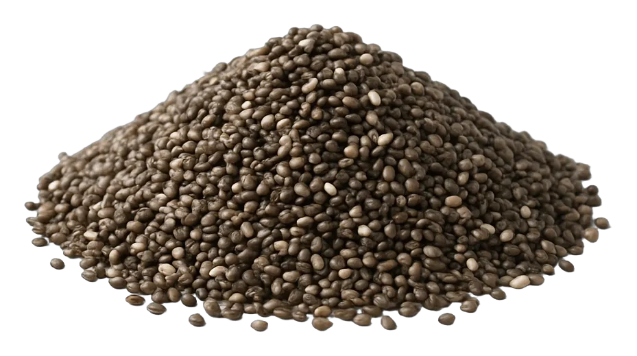 Wholesale chia seed