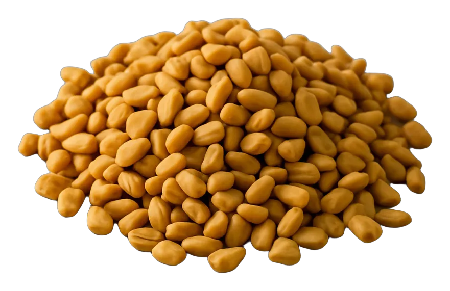 Wholesale fenugreek