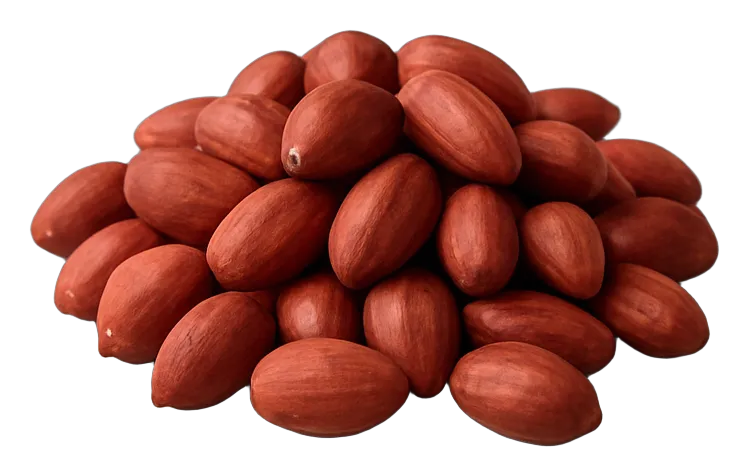 Wholesale peanuts